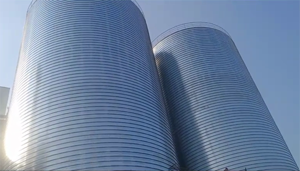 光泽2座混凝土高架卷板仓